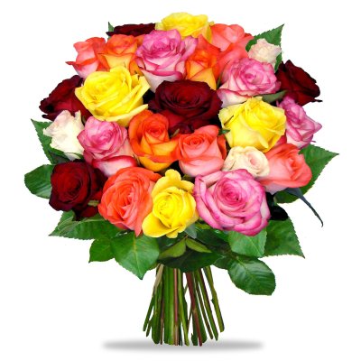 Farbkombination von Rosen